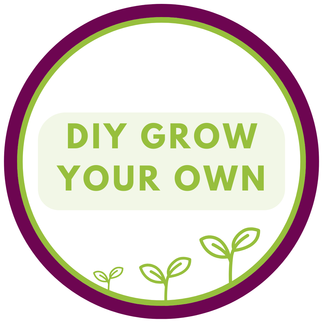 Grow Your Own Microgreens Starter Kit - DIY Microgreen Growing Kit